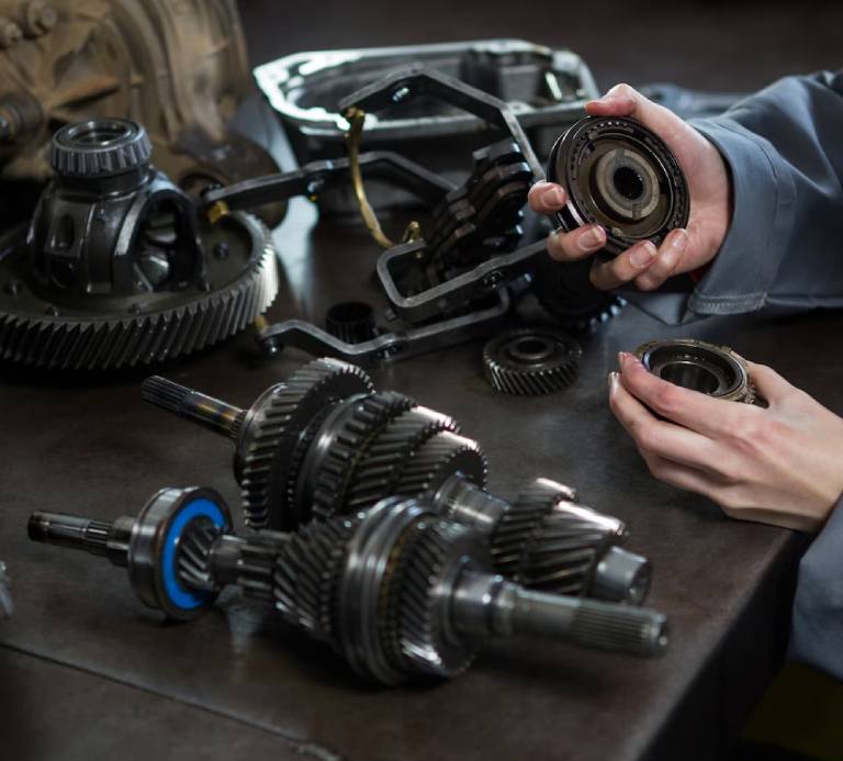 Gear